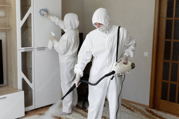 Best HVAC Mold Remediation in Tioga, ND